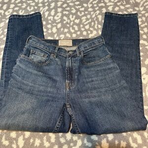 Everlane The Cheeky Jean  25 Crop Blue denim